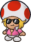 Zip Toad's sprite